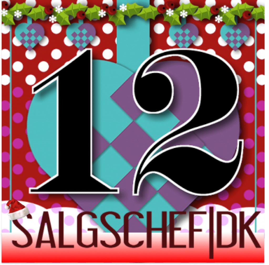 SalgchefDK December12