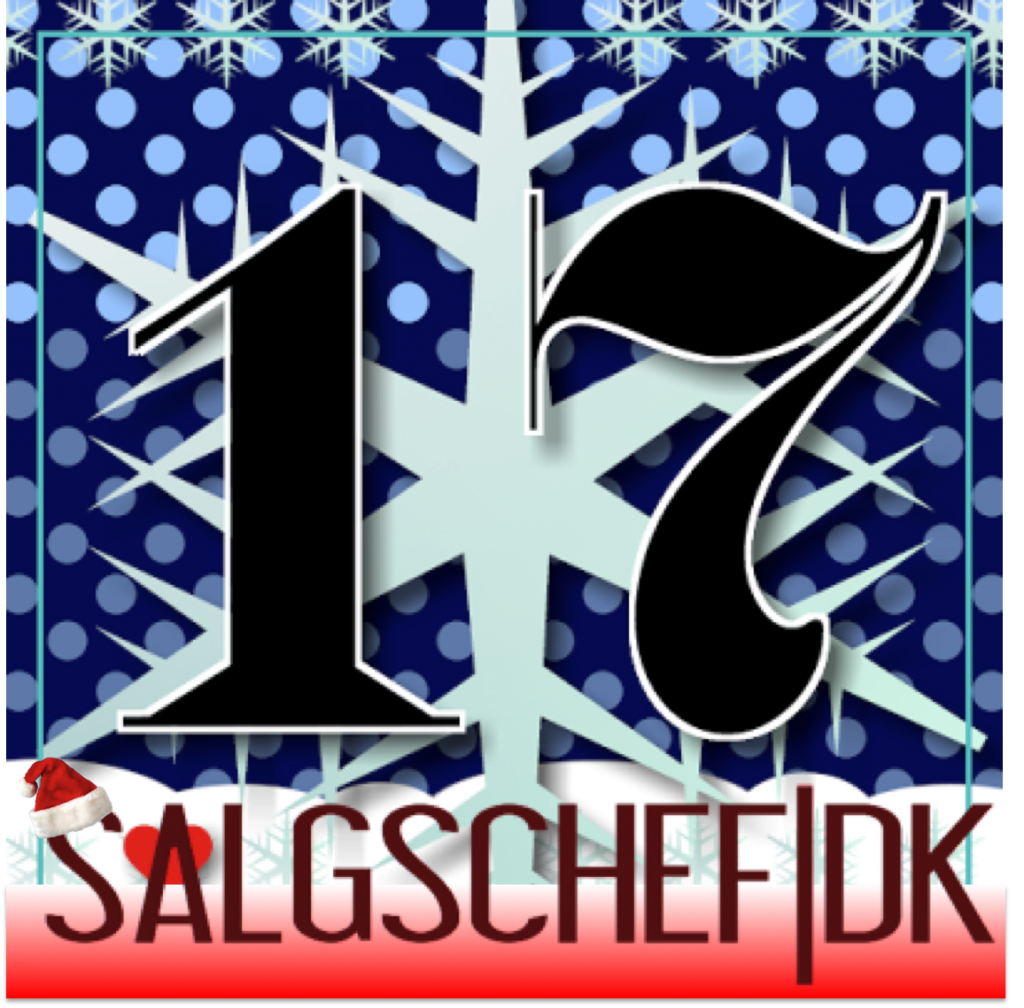 SalgchefDK December17