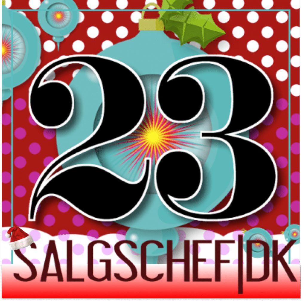 SalgchefDK December23