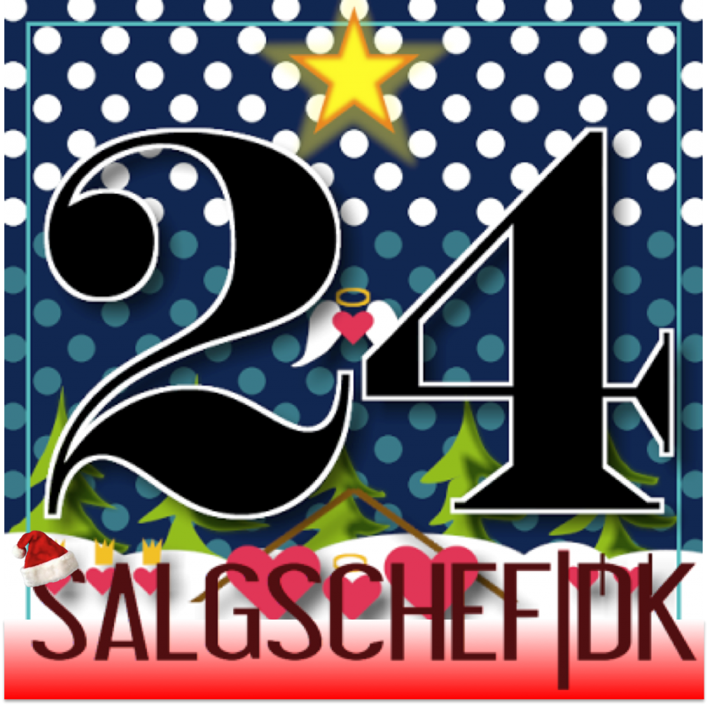 SalgchefDK December24